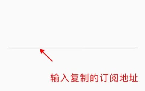 v2rayNG 新手配置订阅教程（Android）