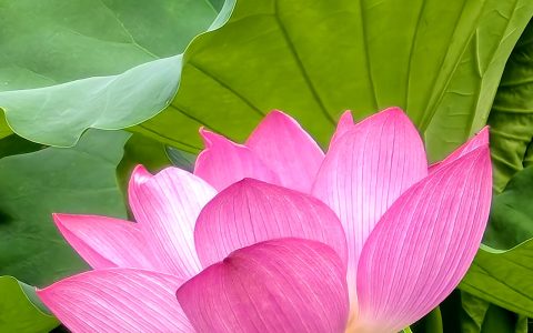 了凡四训，中年叛逆